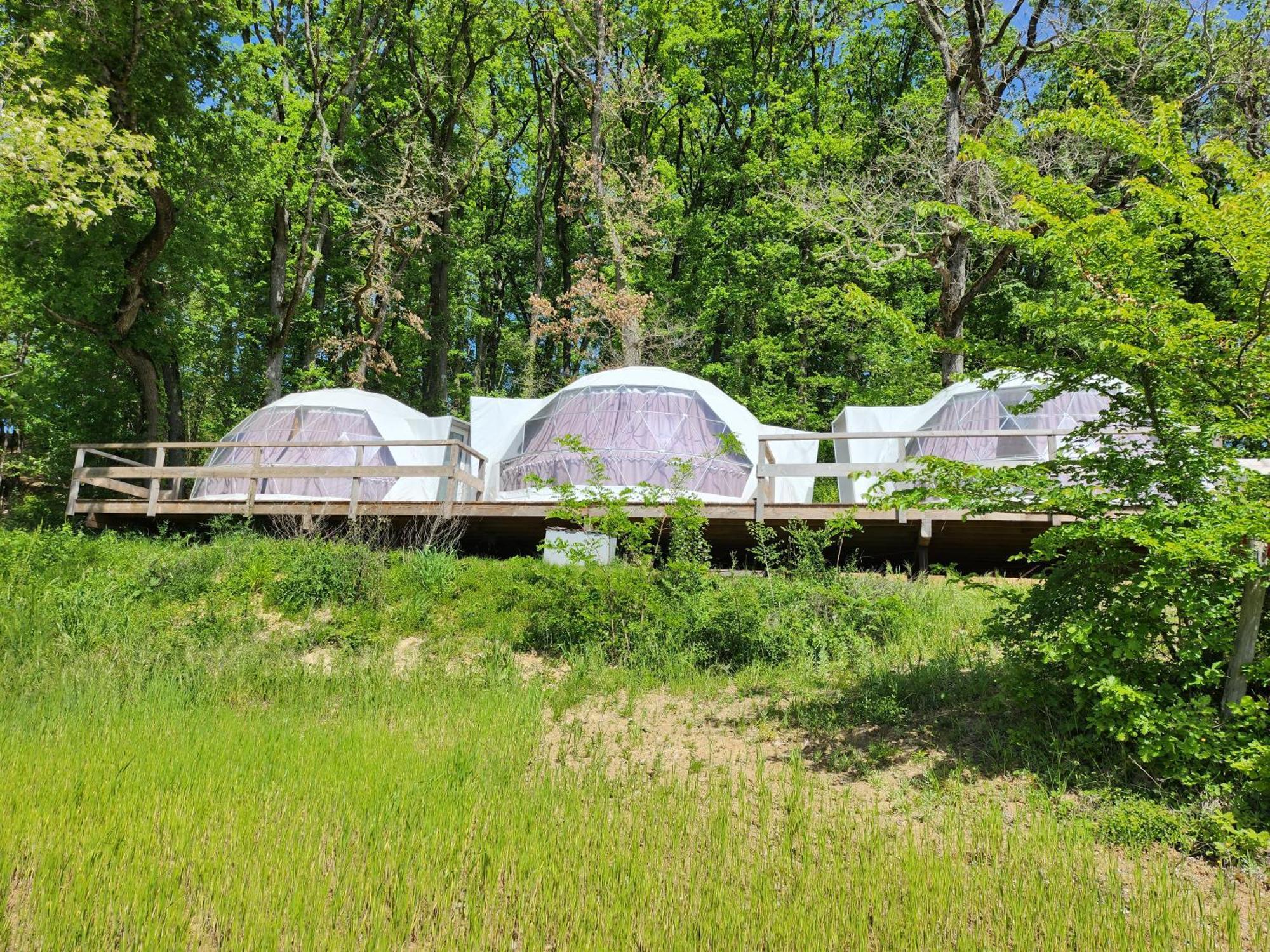 Domaine De Massoulac Molières Exteriör bild