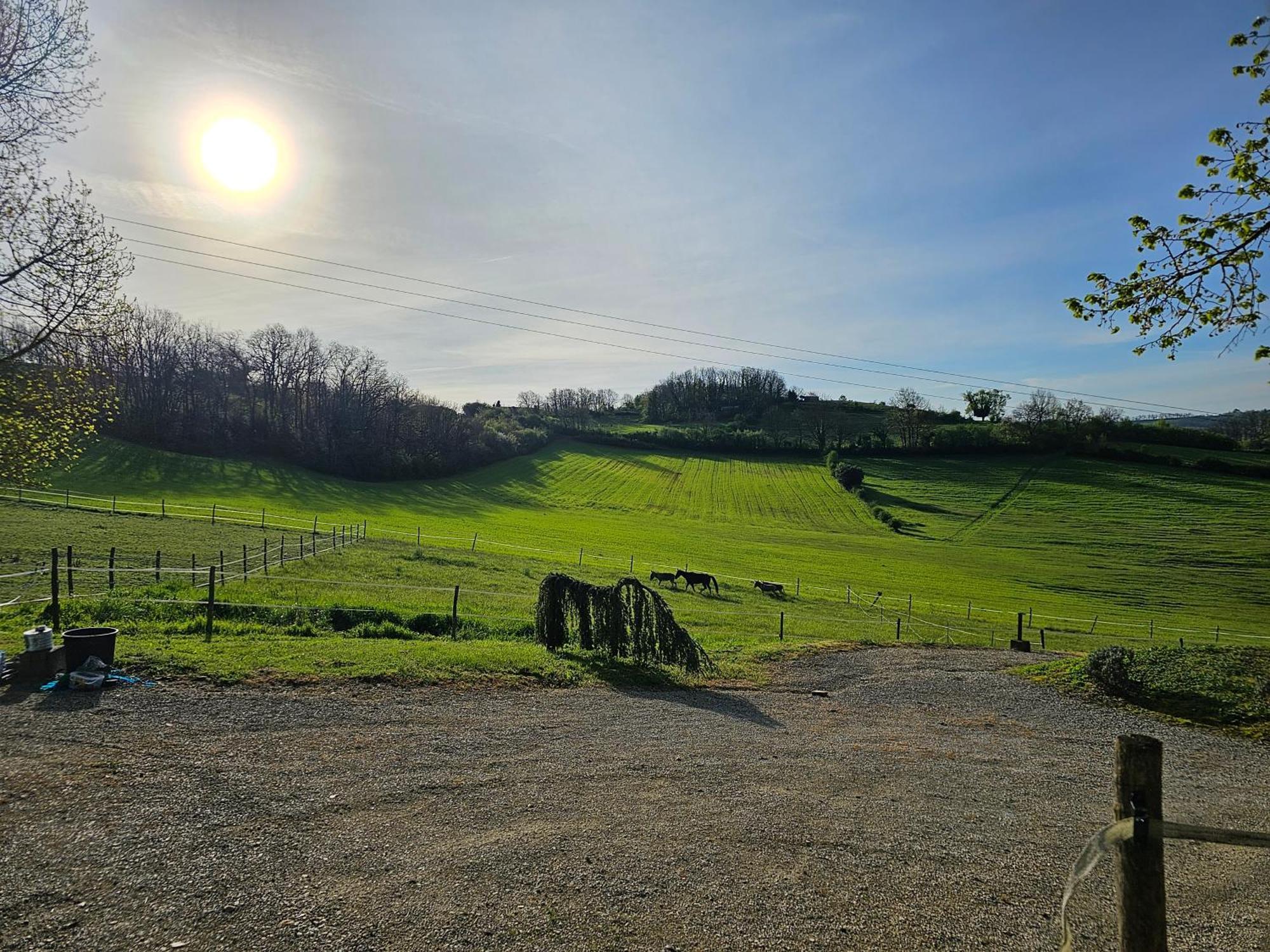 Domaine De Massoulac Molières Exteriör bild