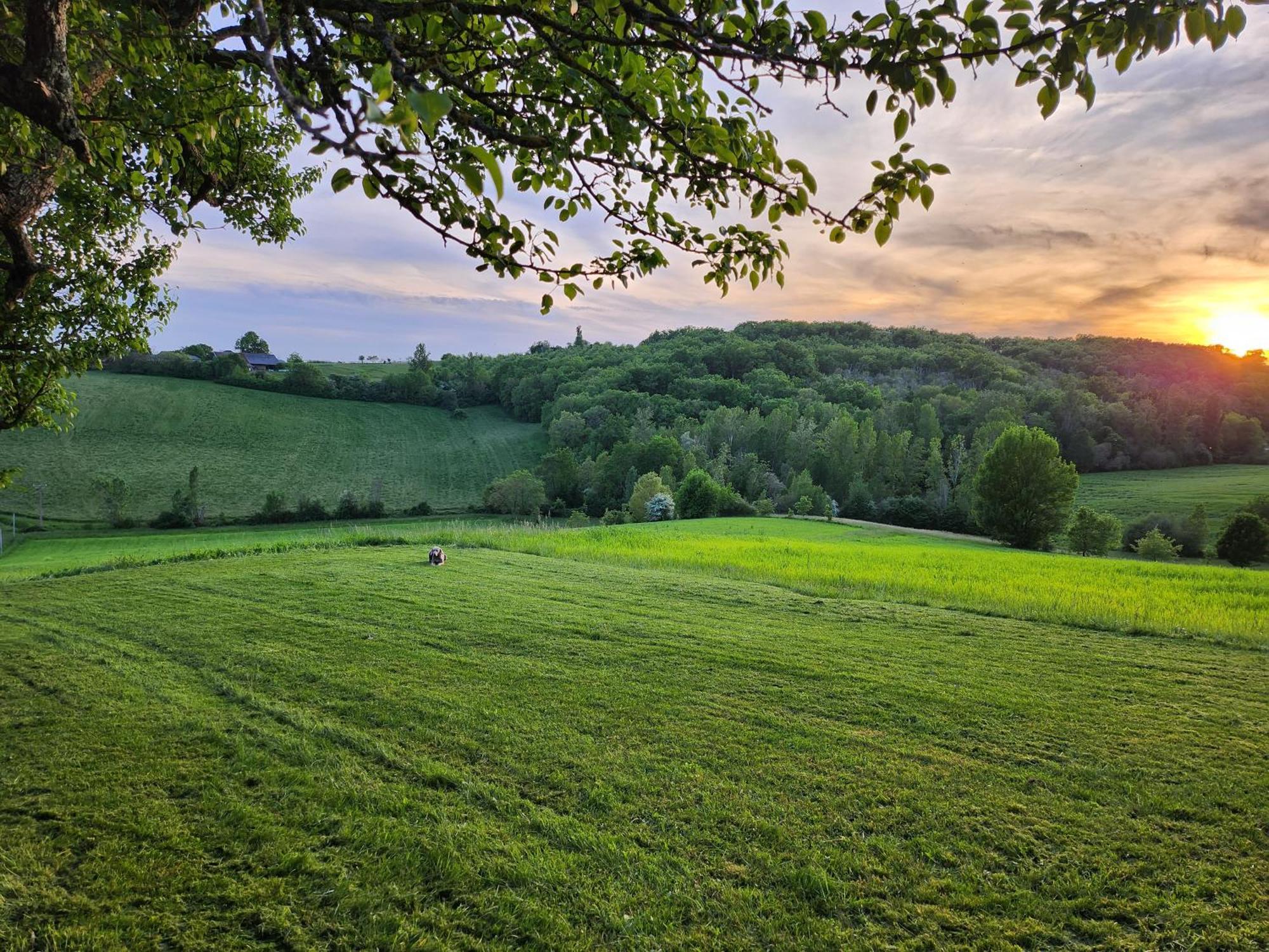 Domaine De Massoulac Molières Exteriör bild